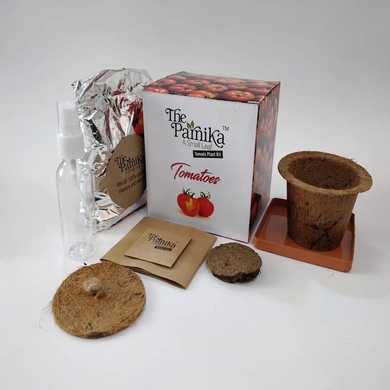 Tomatoes Seeds with Coco Pot 1