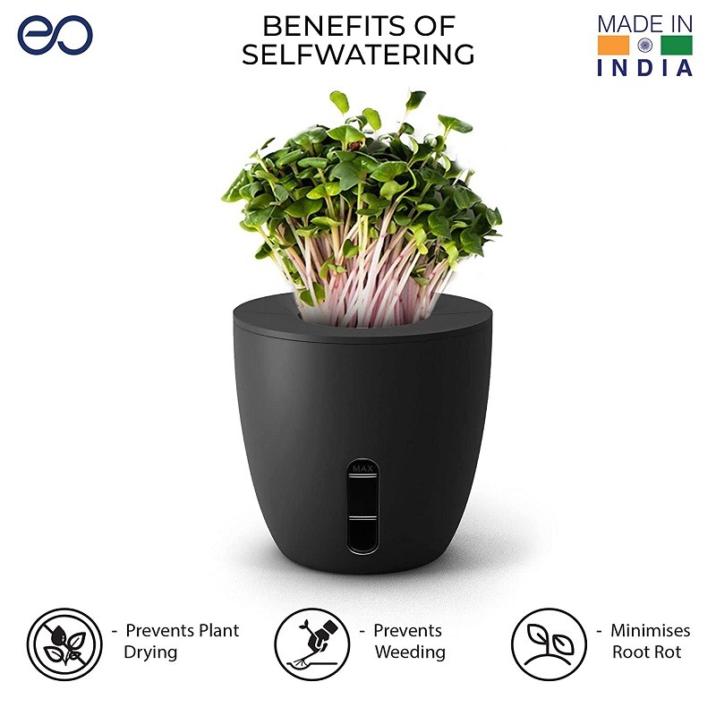 Self Watering Plant Pot with Microgreens Seeds & Soil Terra Pot Planter