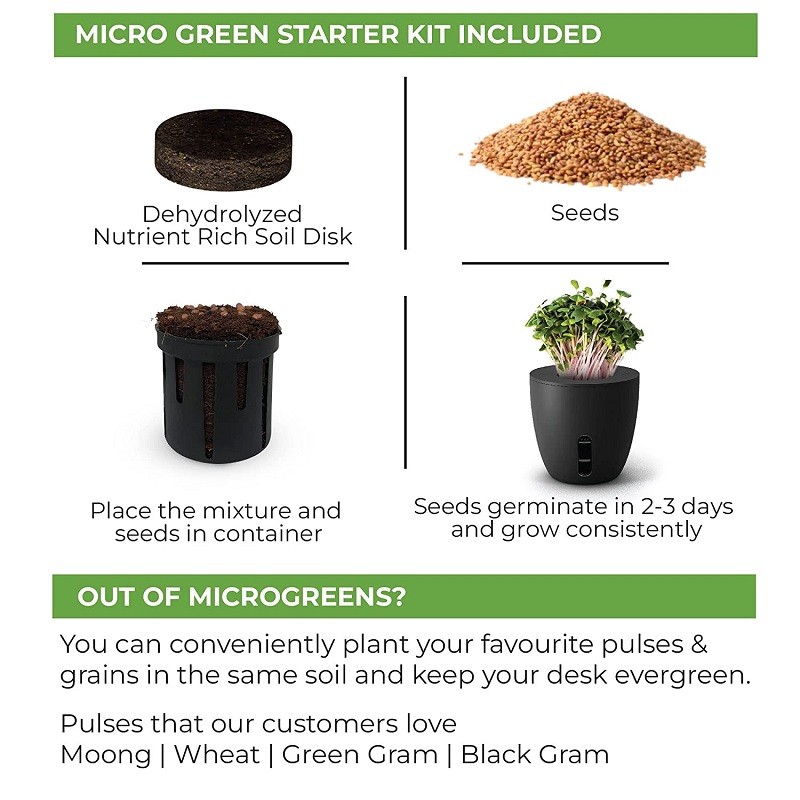 Self Watering Plant Pot with Microgreens Seeds & Soil Terra Pot Planter