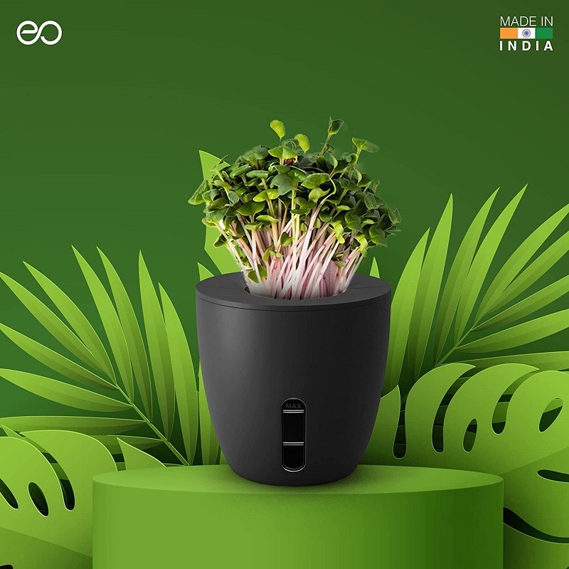 Self Watering Plant Pot with Microgreens Seeds & Soil Terra Pot Planter